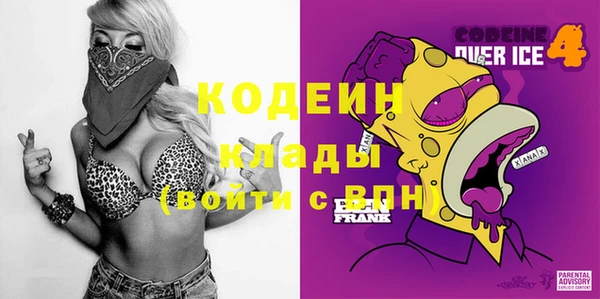 гашик Кодинск