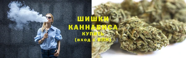 гашик Кодинск