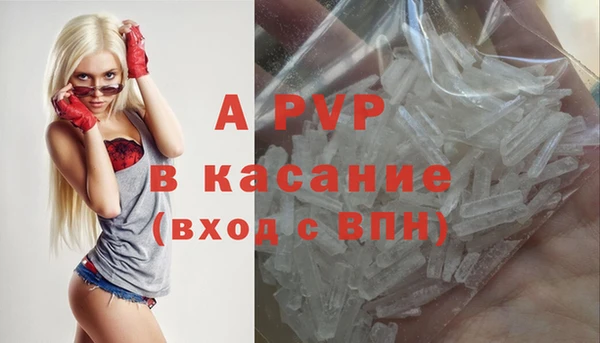 гашик Кодинск