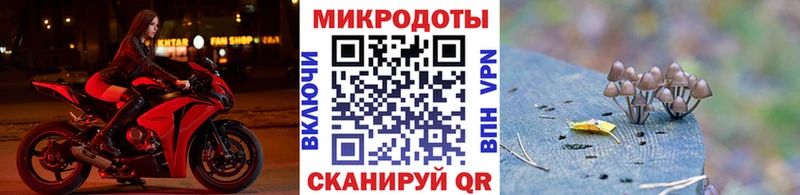 Галлюциногенные грибы Cubensis блэк спрут ONION Красный Кут